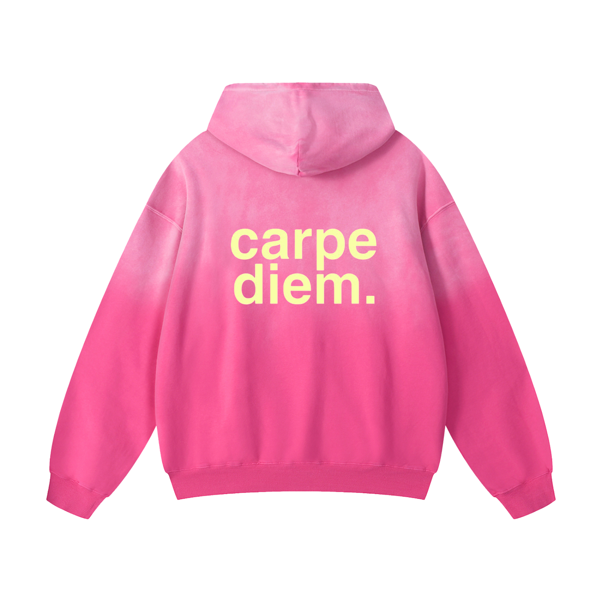 Carpe Diem Hoodie