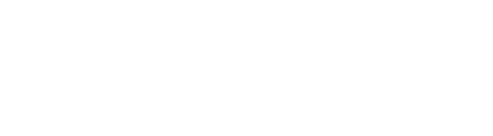 Introspect